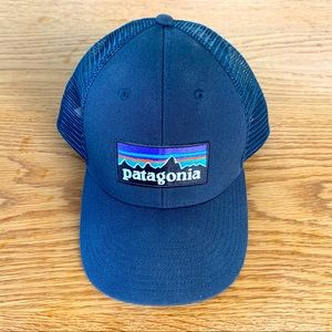 Patagonia trucker hat